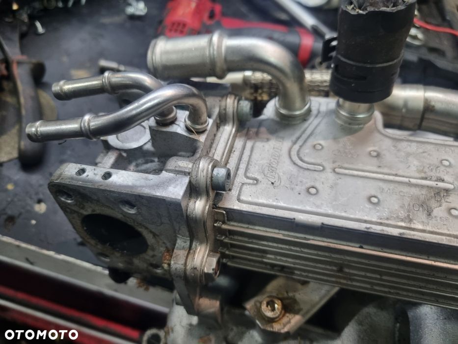 Vw Seat Skoda Audi 1.9 tdi Chlodnica egr