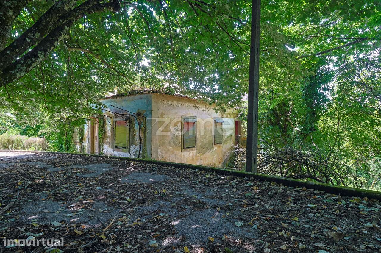 Quinta T4 + T3 I Terreno I Figueiró dos Vinhos - Grande imagem: 4/54