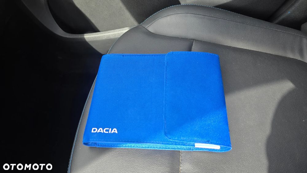 Dacia Spring - 10
