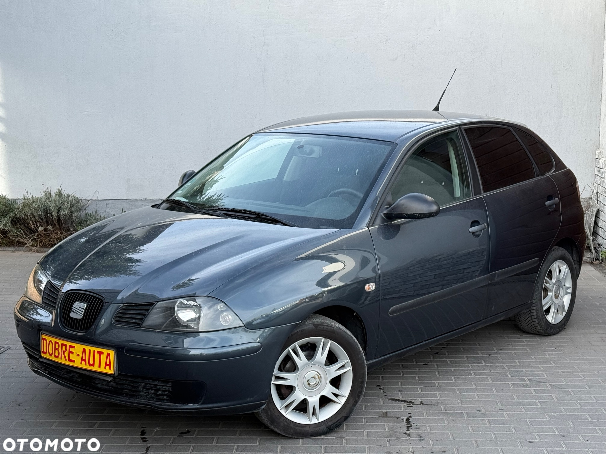 Seat Ibiza 1.4 16V Stylance - 22