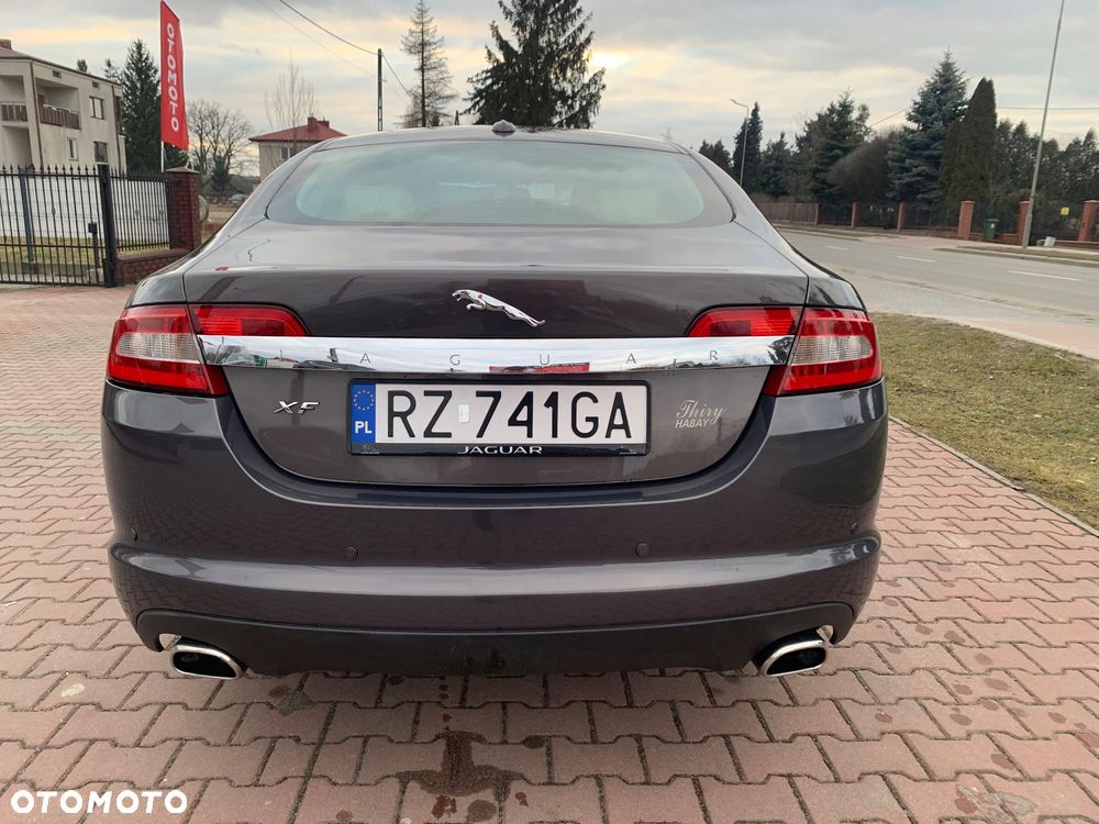 Jaguar XF 2.7 V6 Premium Luxury - 10