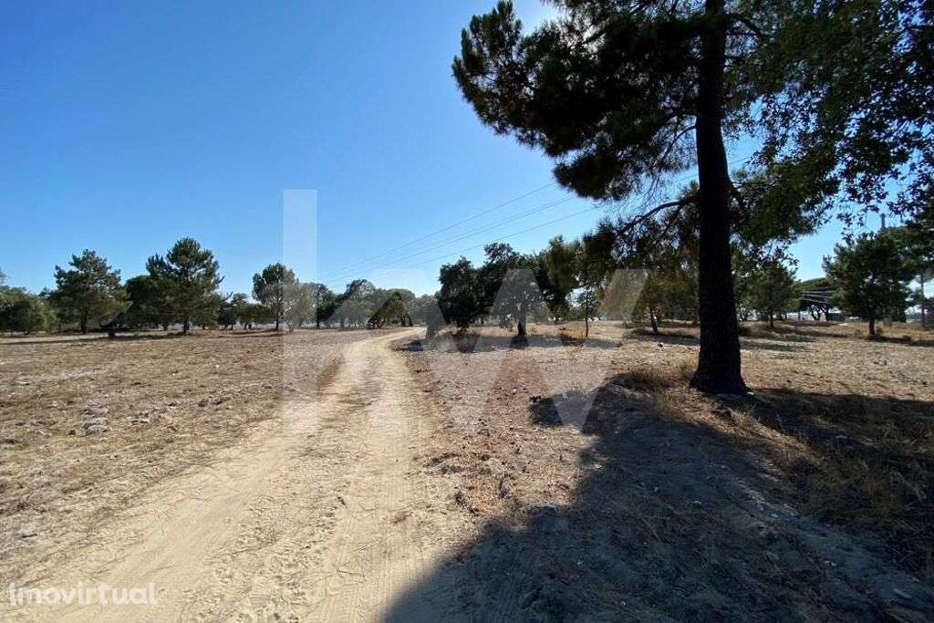 Moita| Terreno para Construçao | Oportunidade de Investimento - Grande imagem: 5/13