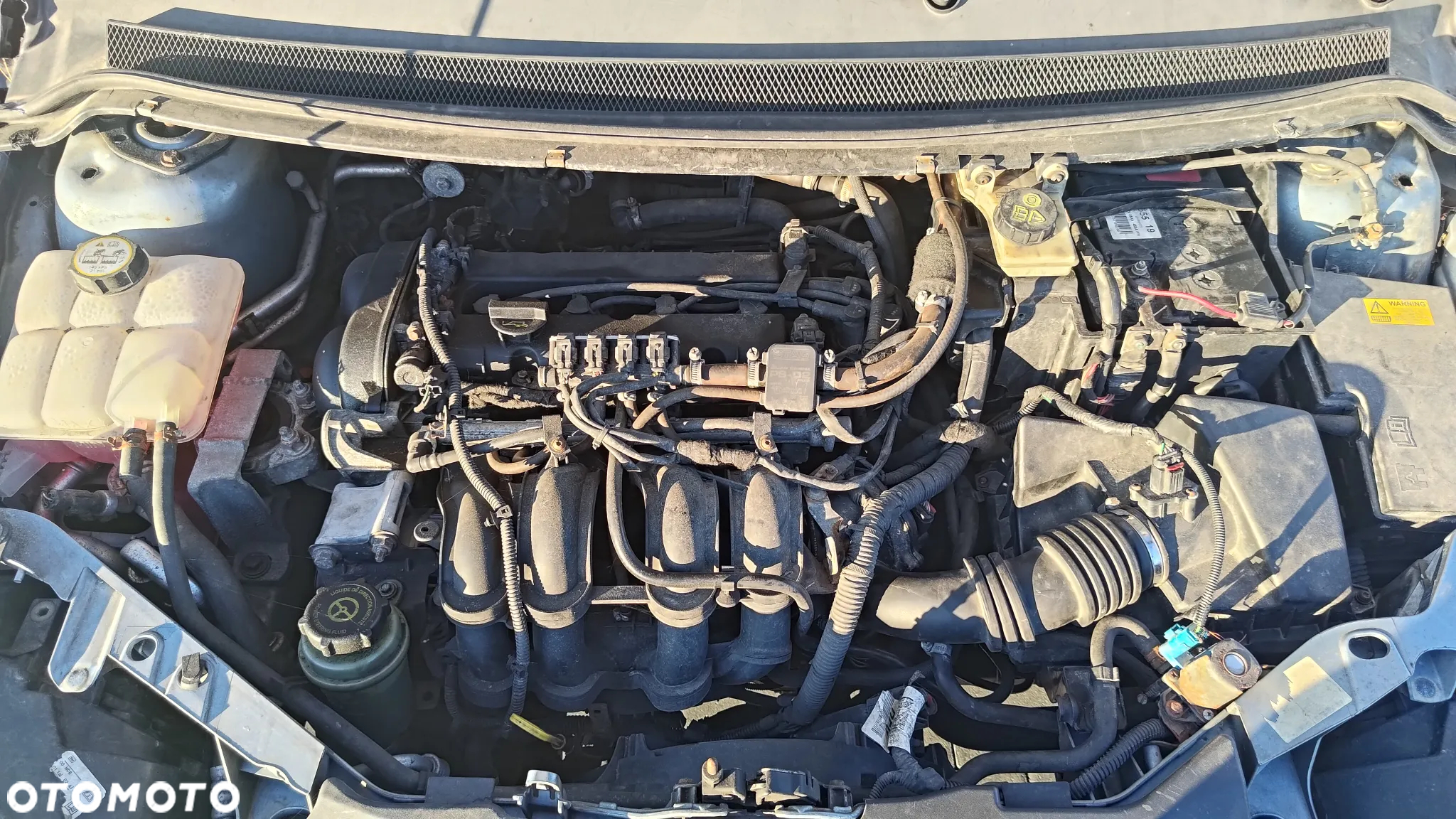 Ford Focus 1.6 Ti-VCT Ghia - 17