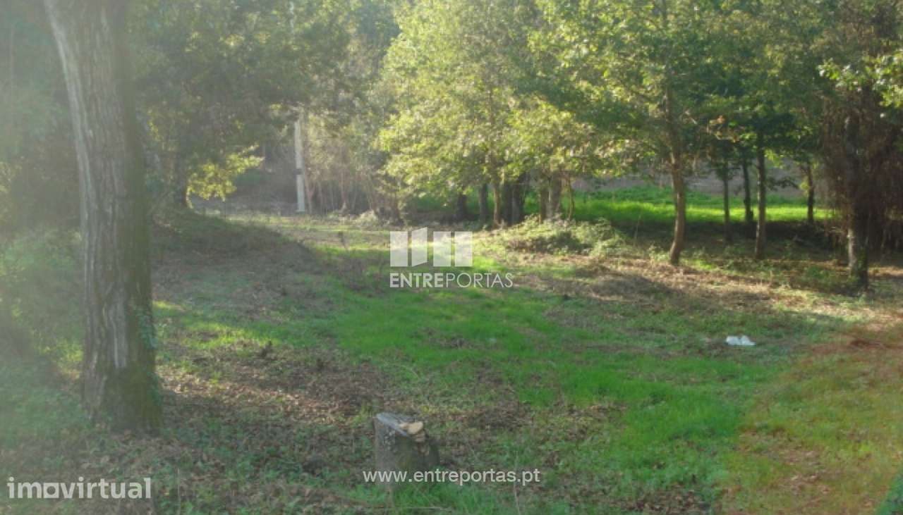 Venda Terreno para loteamento, próximo da cidade, Rio de Galinhas, Ma - Grande imagem: 4/13