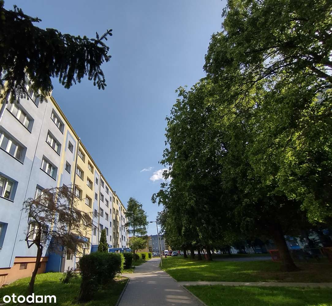 Mieszkanie, 42,40 m², Łódź