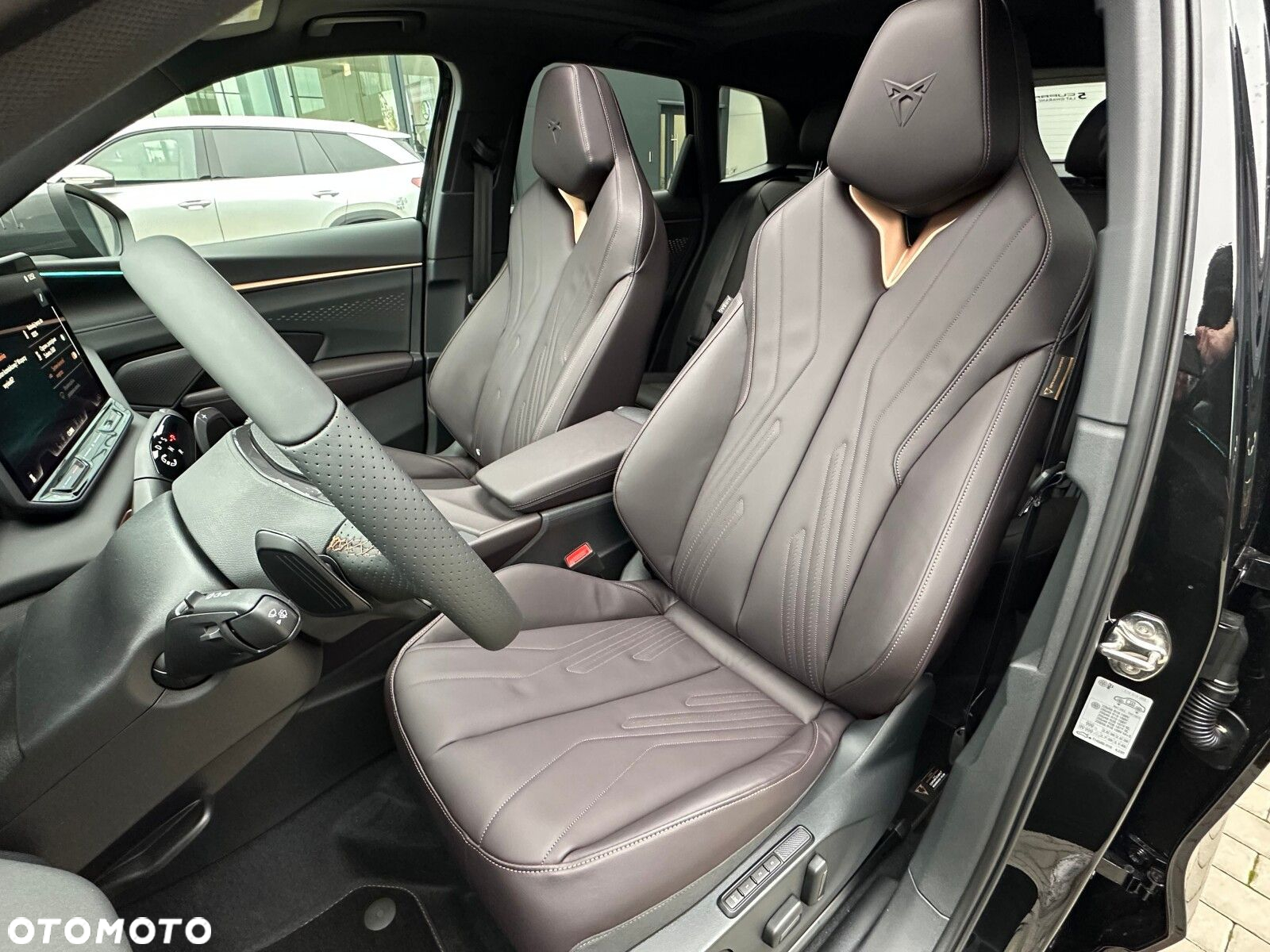 Cupra Terramar - 22