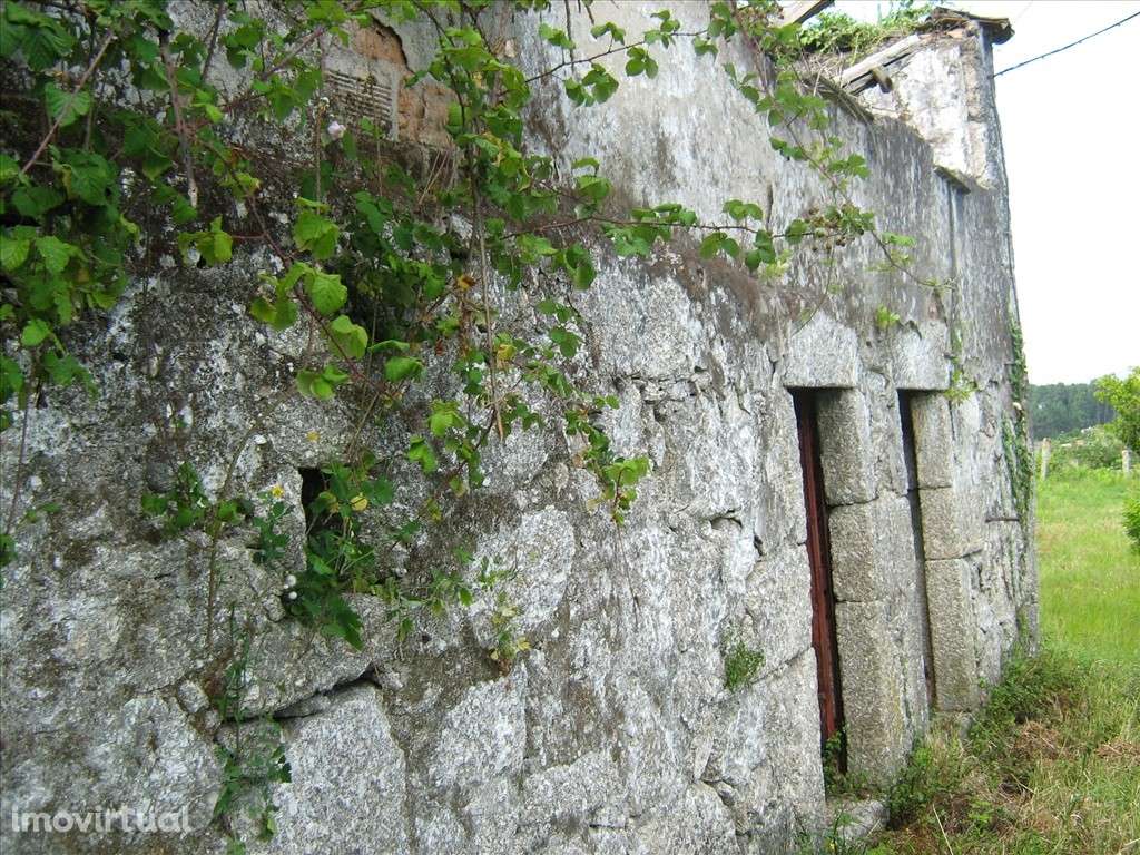 Quinta com casa rustica para recuperar e 10.500m2 de terreno, Parada - - Grande imagem: 5/36