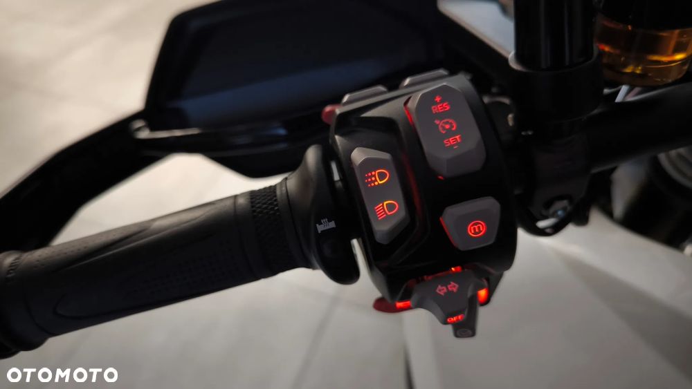Triumph Tiger - 11