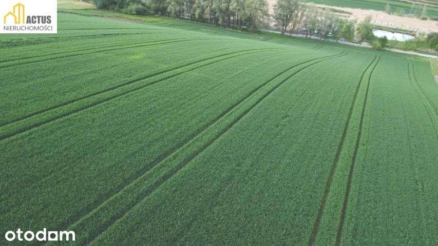Nieruchomość 1,32 ha Stręgoborzyce - Pełny obrazek: 4/11