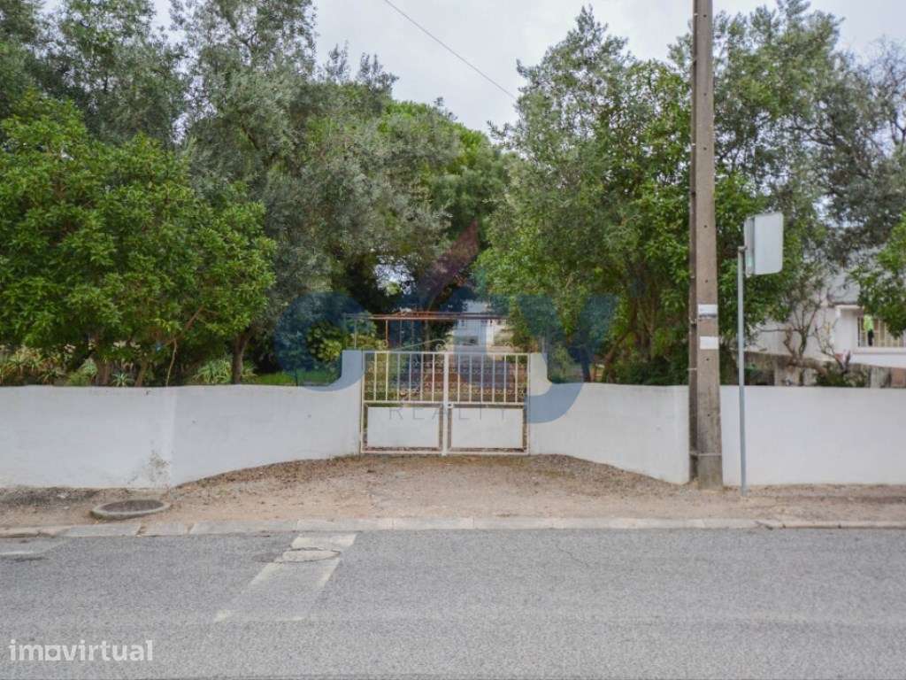 Terreno Urbano Plano em Sinais - Oportunidade Única para Construir ... - Grande imagem: 5/20