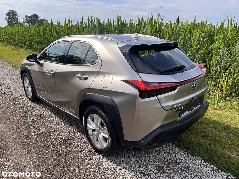 Lexus UX - 6