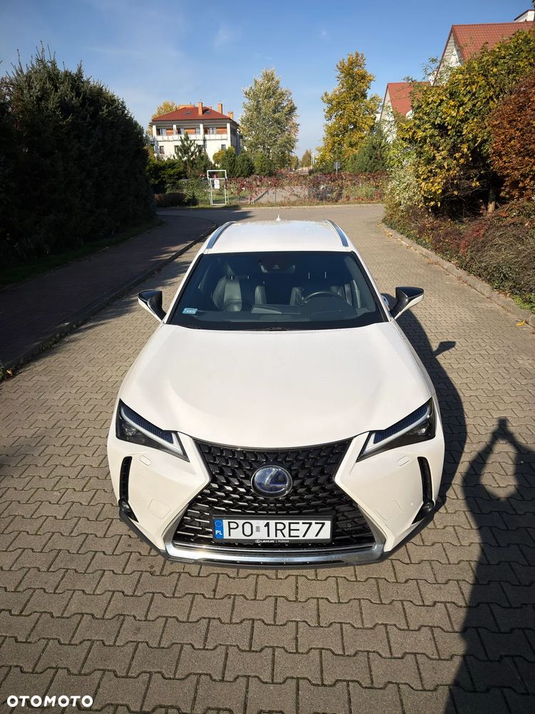 Lexus Ux 2019 photo 4