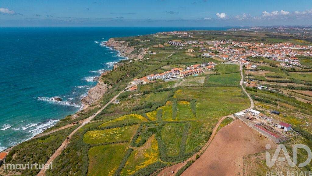 Terreno Agrícola em São Pedro da Cadeira - Grande imagem: 5/27