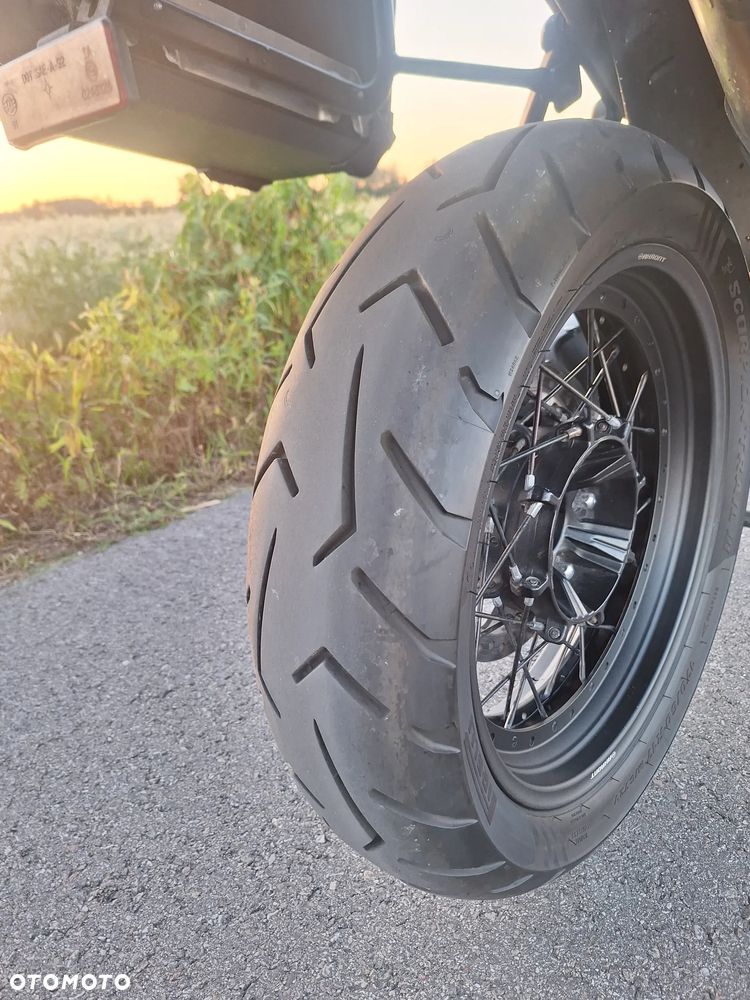 Triumph Tiger - 7