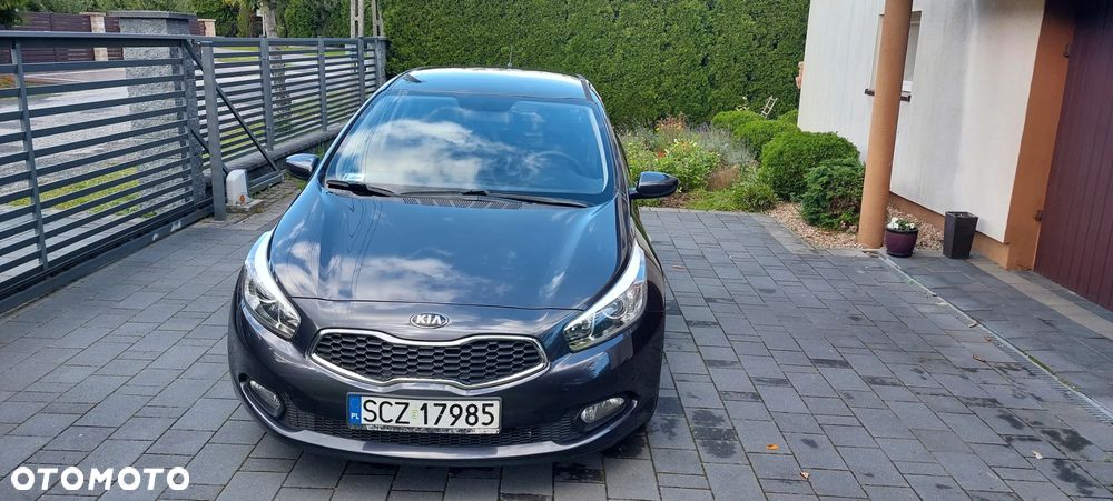 Kia Ceed - 1