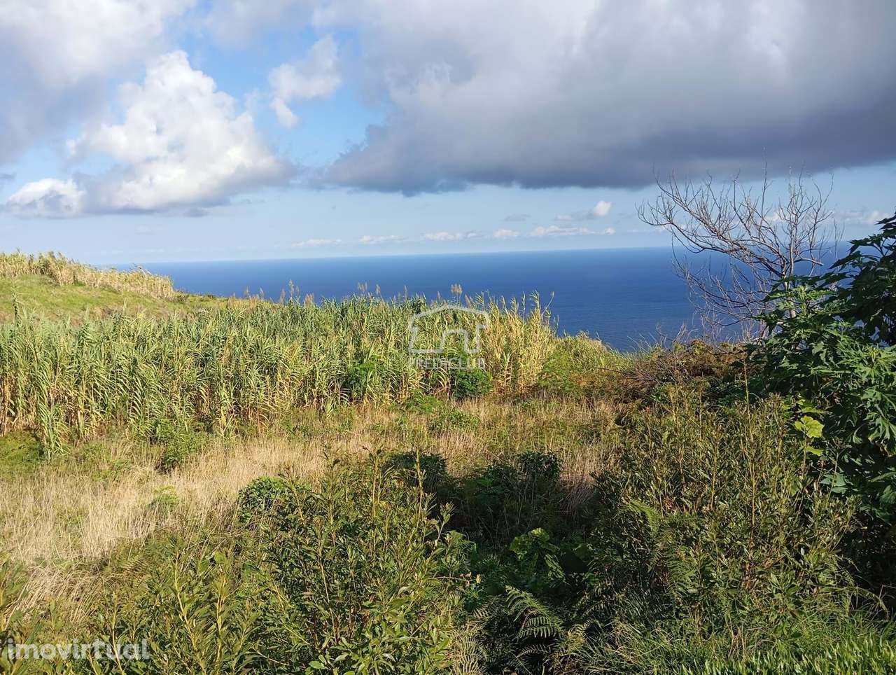 5002 m2  Frente Única de Mar- Porto Moniz - Grande imagem: 2/29