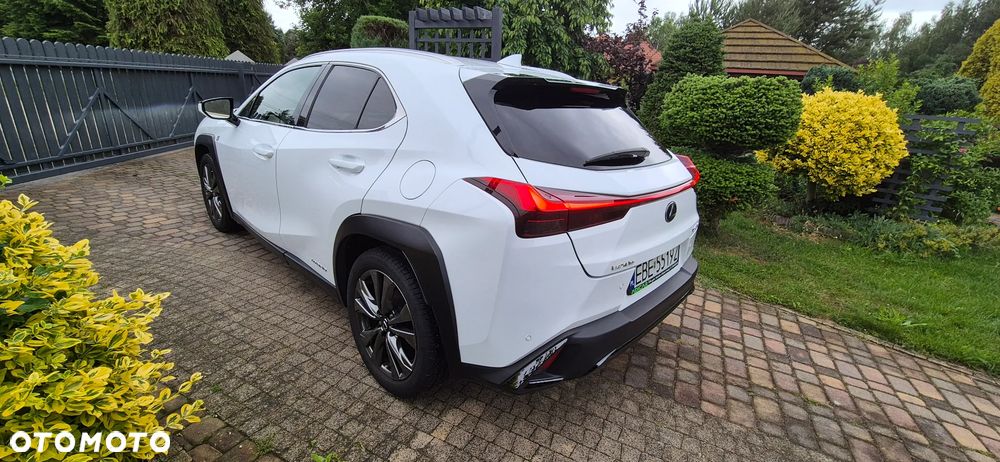 Lexus UX 250h GPF F Sport AWD - 6