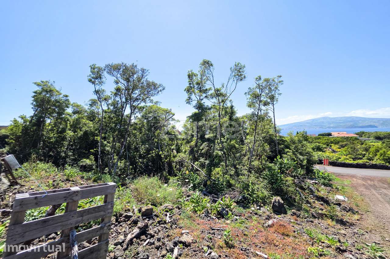 Terreno Urbano de 12.524 m² na Criação Velha com potencial turístic... - Grande imagem: 5/19