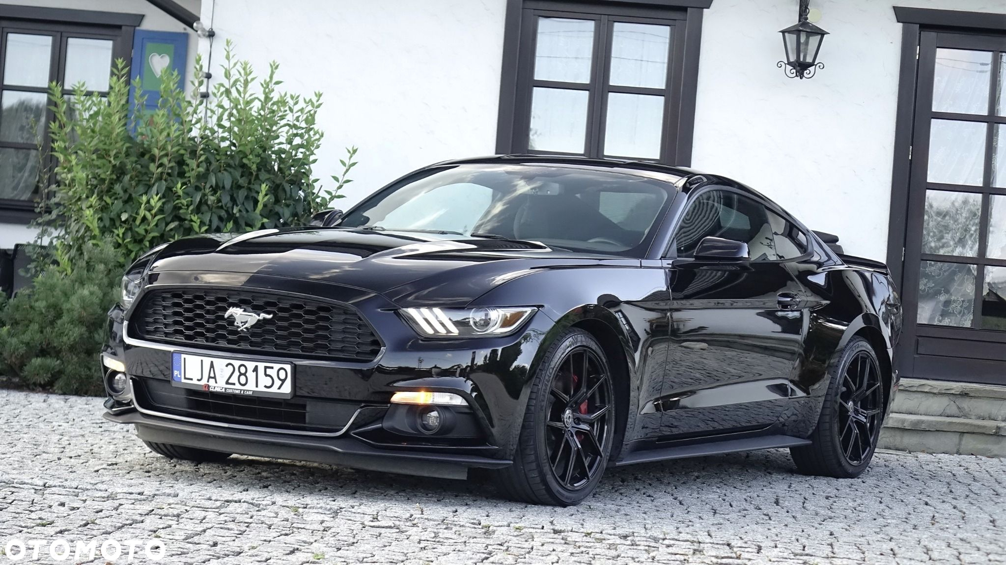 Ford Mustang - 10