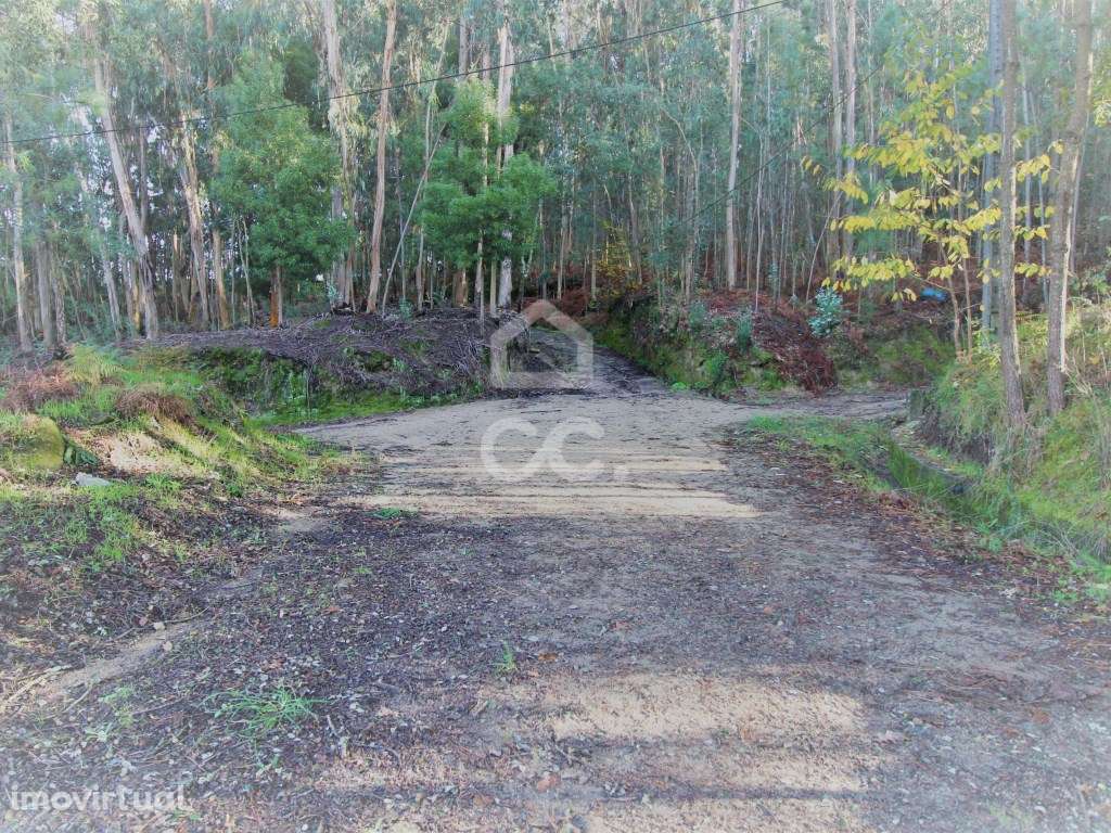 Terreno em Barcelos! - Grande imagem: 4/10