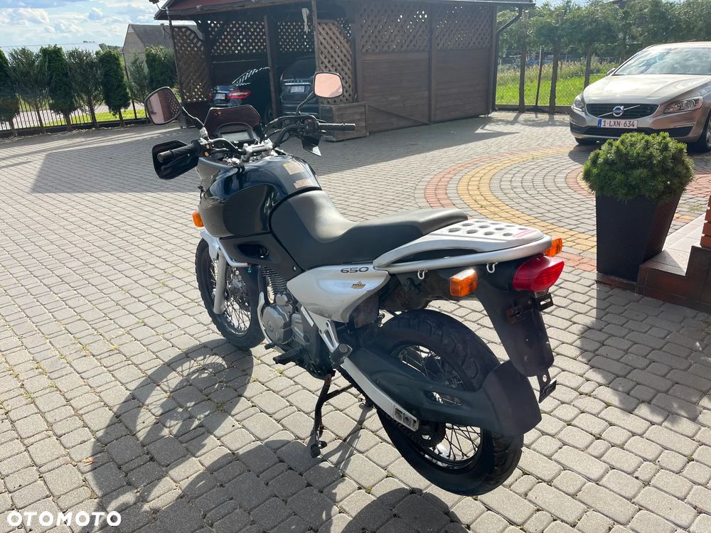 Suzuki Inny - 7