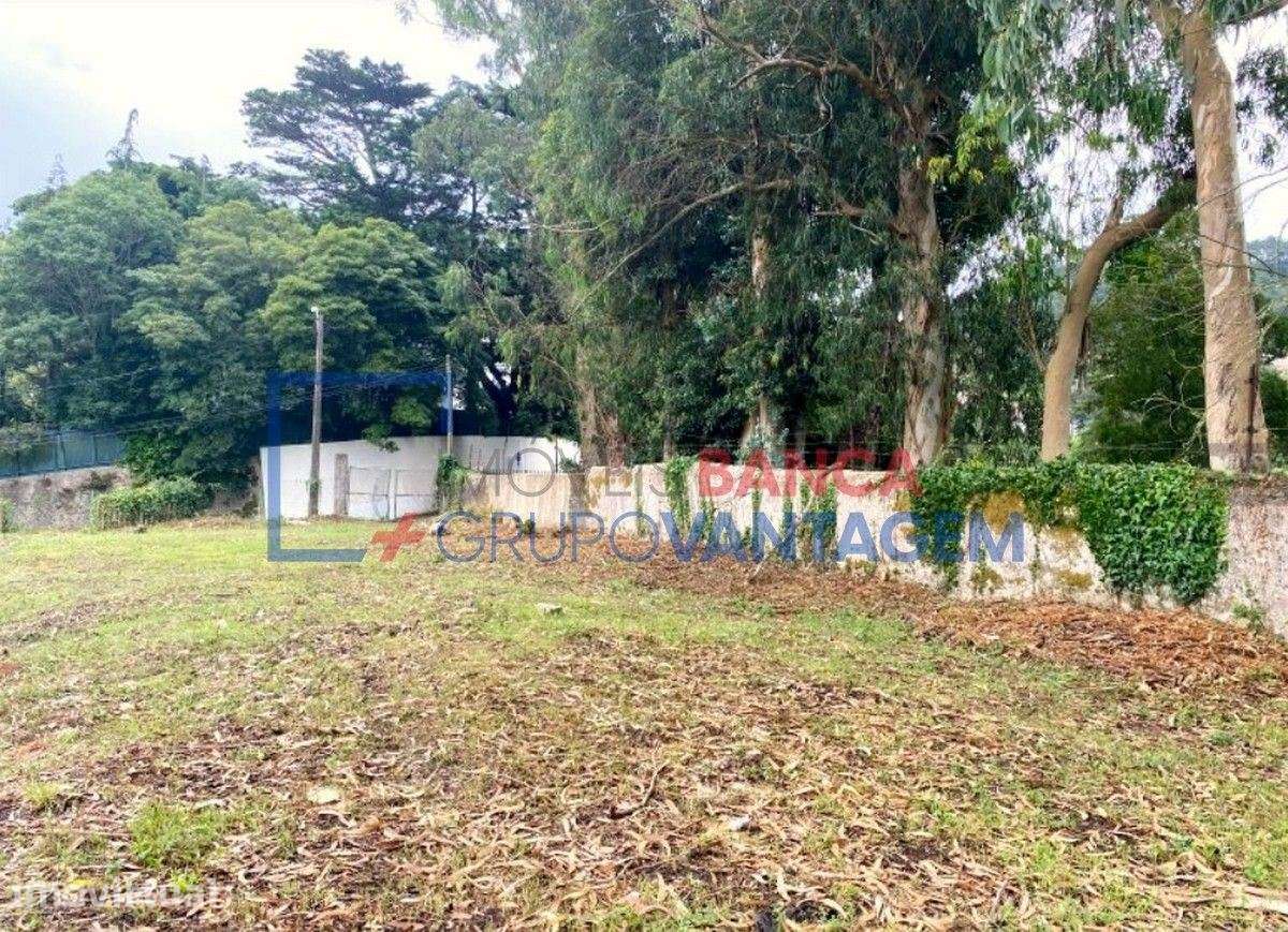 Terreno para construção - SINTRA - Grande imagem: 4/14