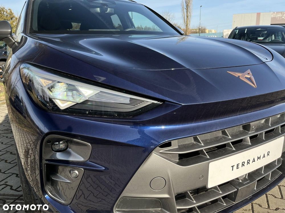 Cupra Terramar - 11