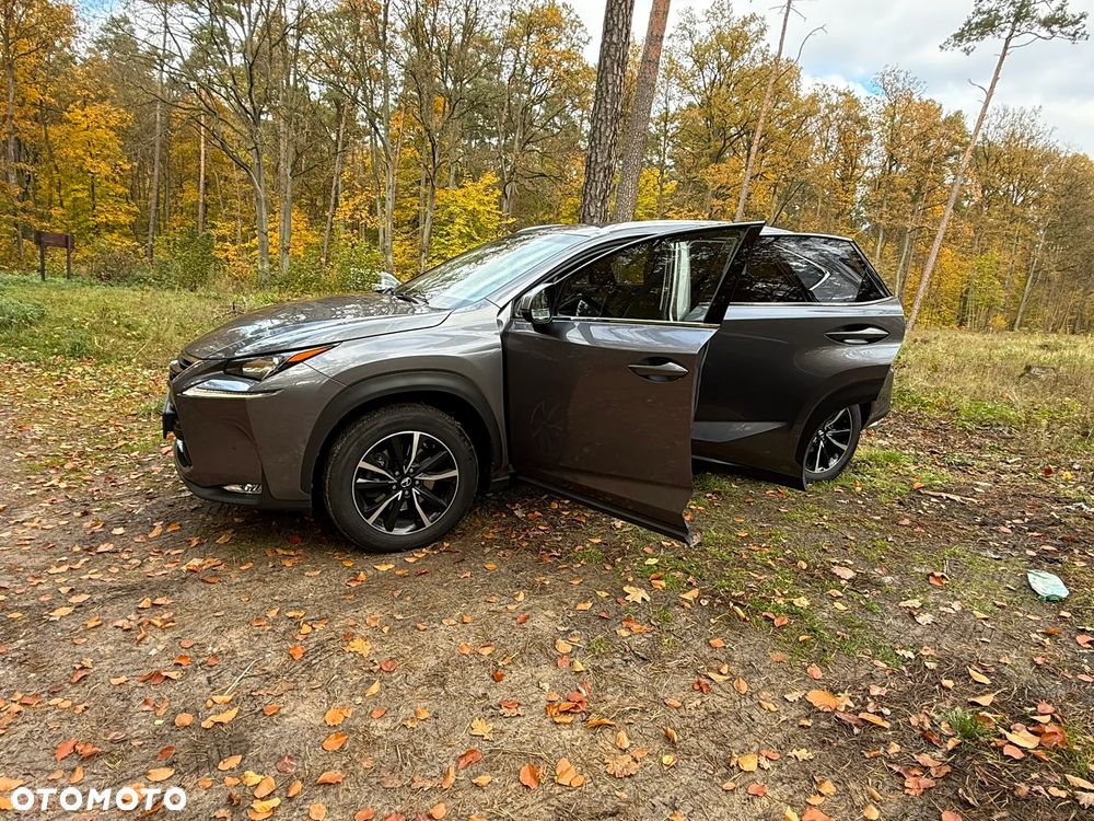 Lexus Nx 2017 photo 4