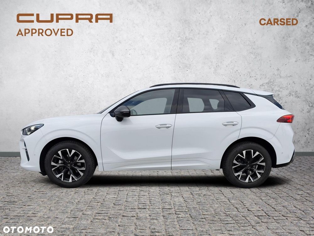 Cupra Terramar - 3