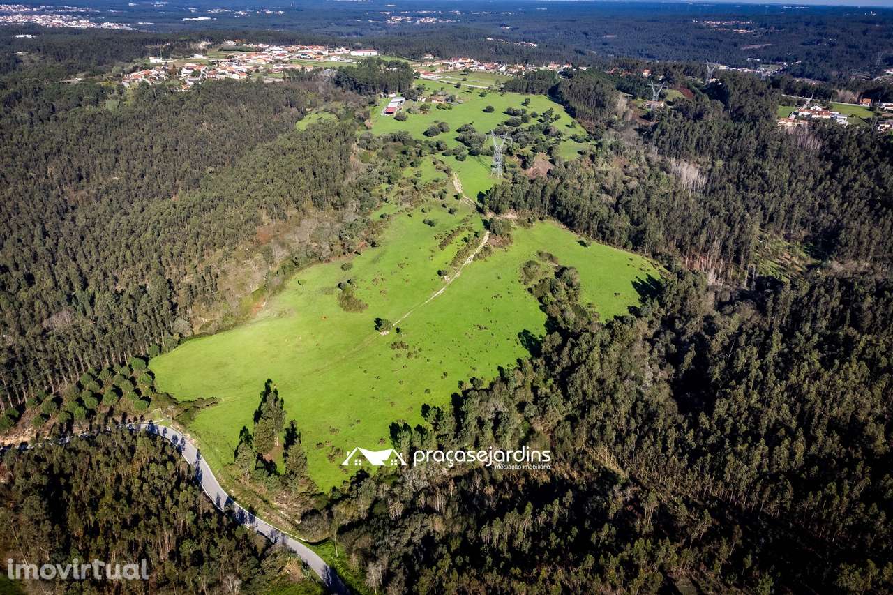 Magnifica Quinta em Zona Tranquila - Grande imagem: 2/40