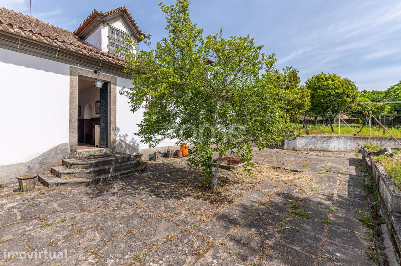 Quinta do Barreiro em Mesão Frio, Douro - Grande imagem: 3/29