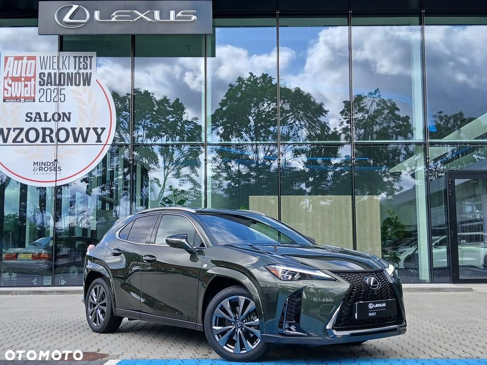 Lexus UX 300h F Sport AWD - 1
