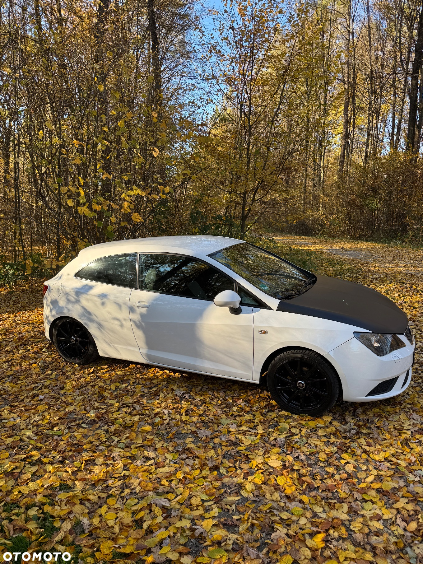 Seat Ibiza - 6