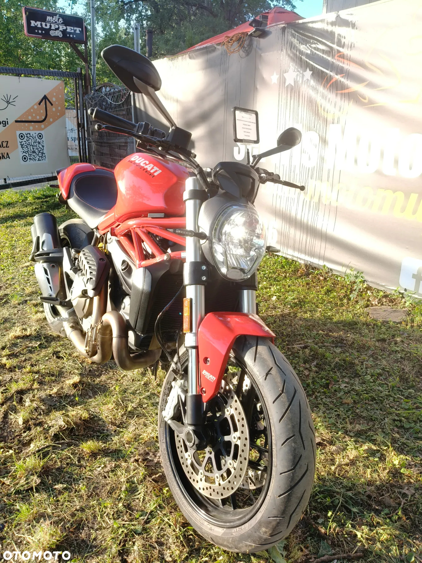 Ducati Monster - 3