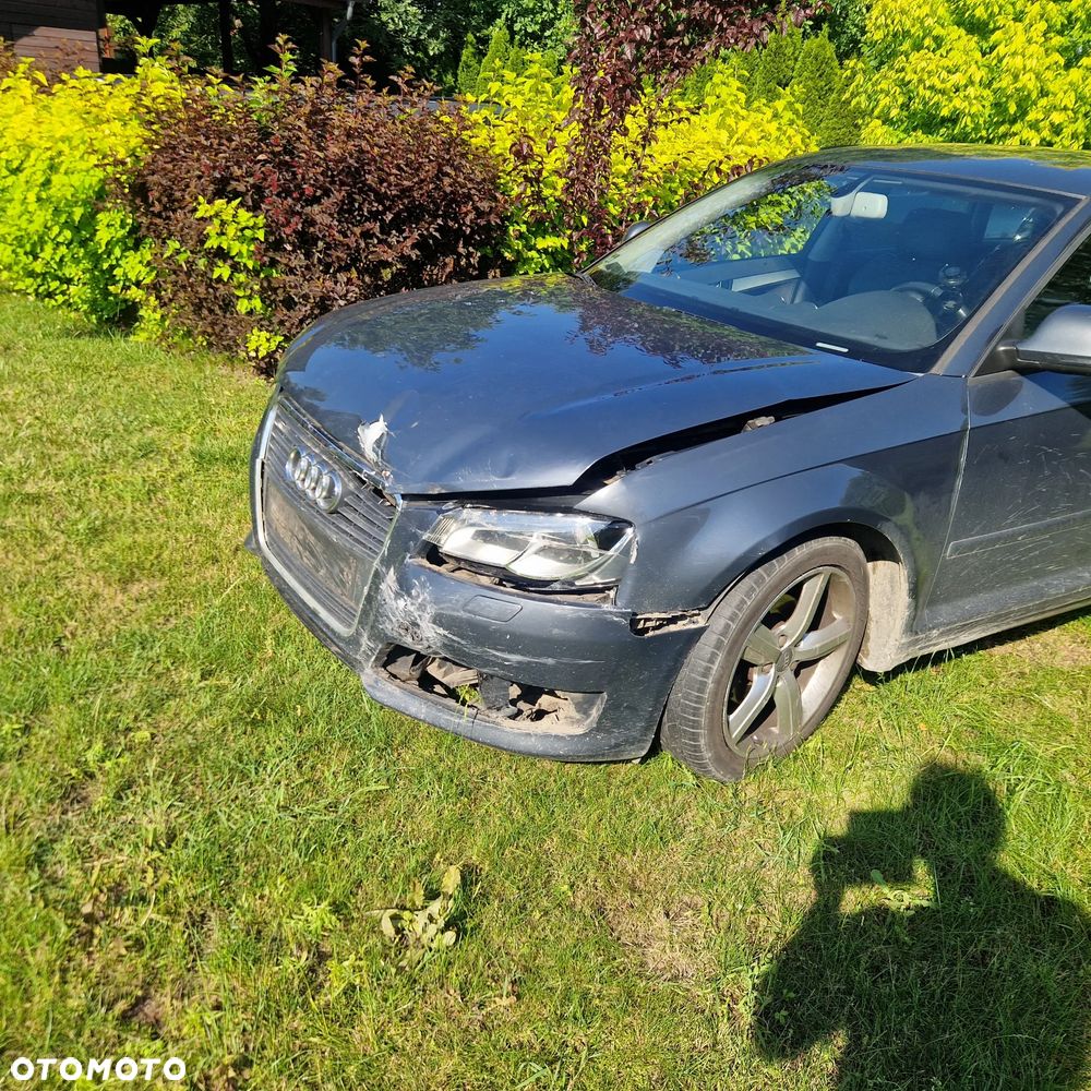 Audi A3 8P (2003-2012) 1.9 TDI Attraction, 2009