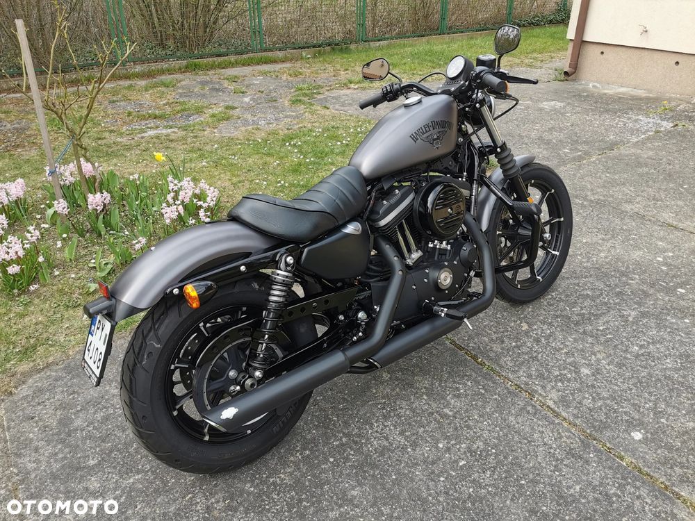 Harley-Davidson Sportster Iron 883 - 9