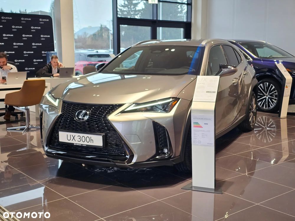 Lexus UX 300h F Sport Design - 7
