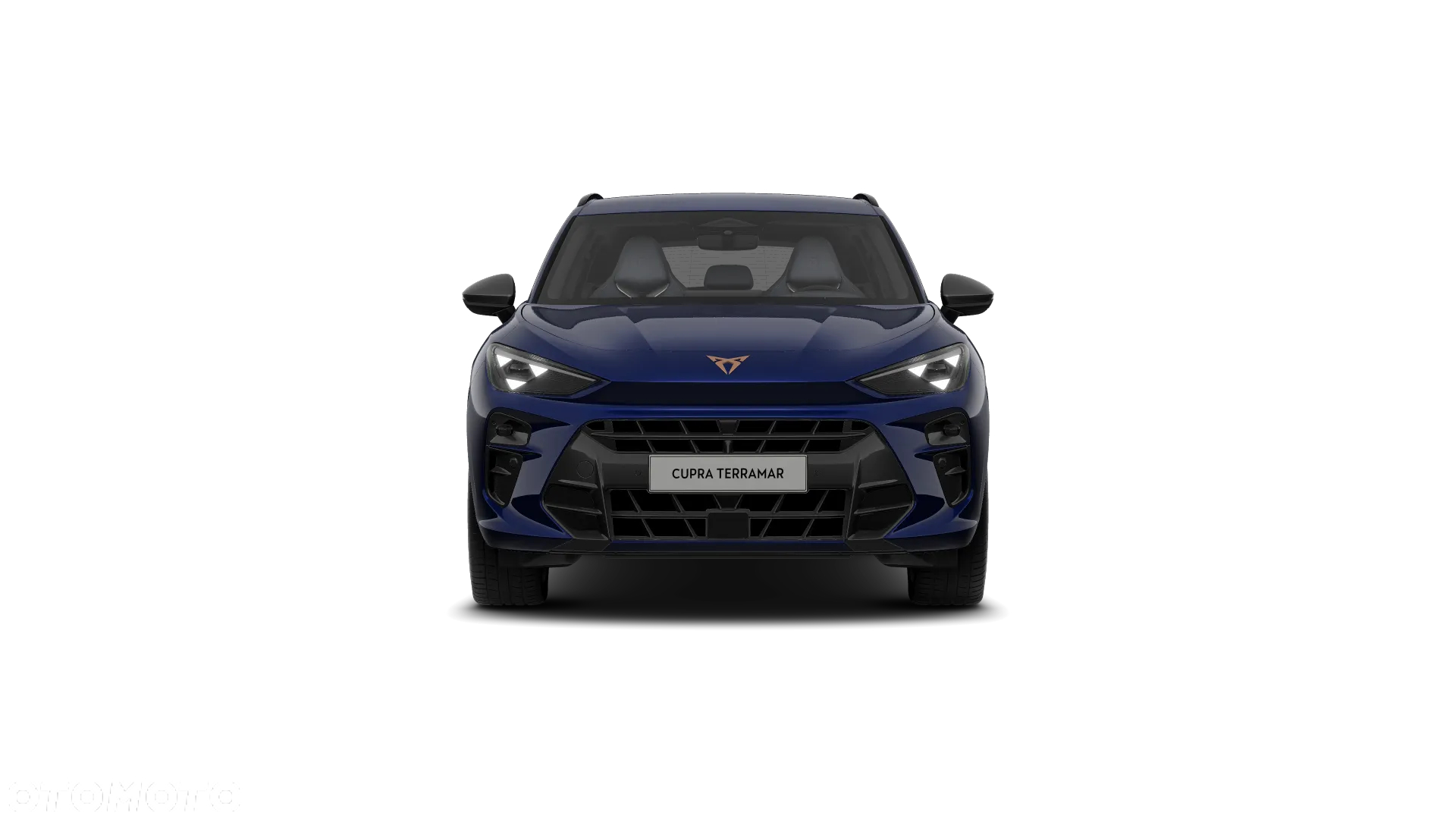 Cupra Terramar 2.0 TSI 4Drive DSG - 2