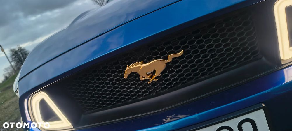 Ford Mustang 2.3 Eco Boost - 19