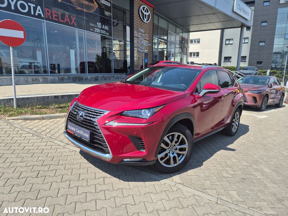 Lexus Seria NX 300h AWD Business Plus - 2