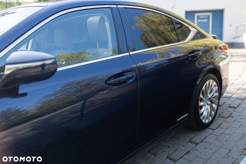 Lexus ES 300h Omotenashi - 5