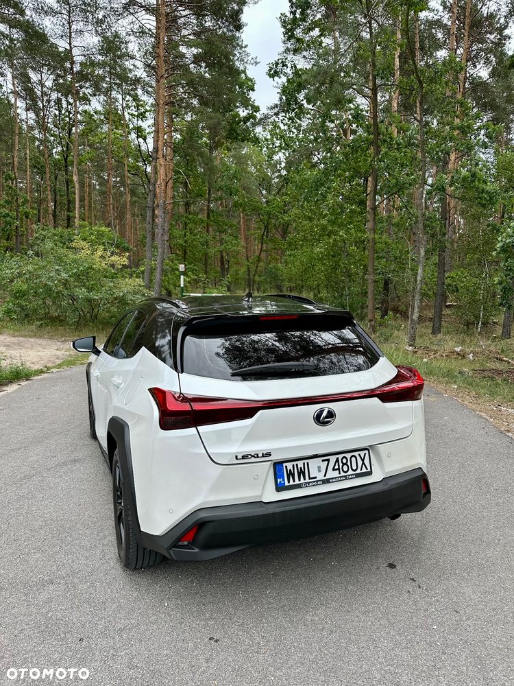Lexus UX 250h Prestige 2WD - 18