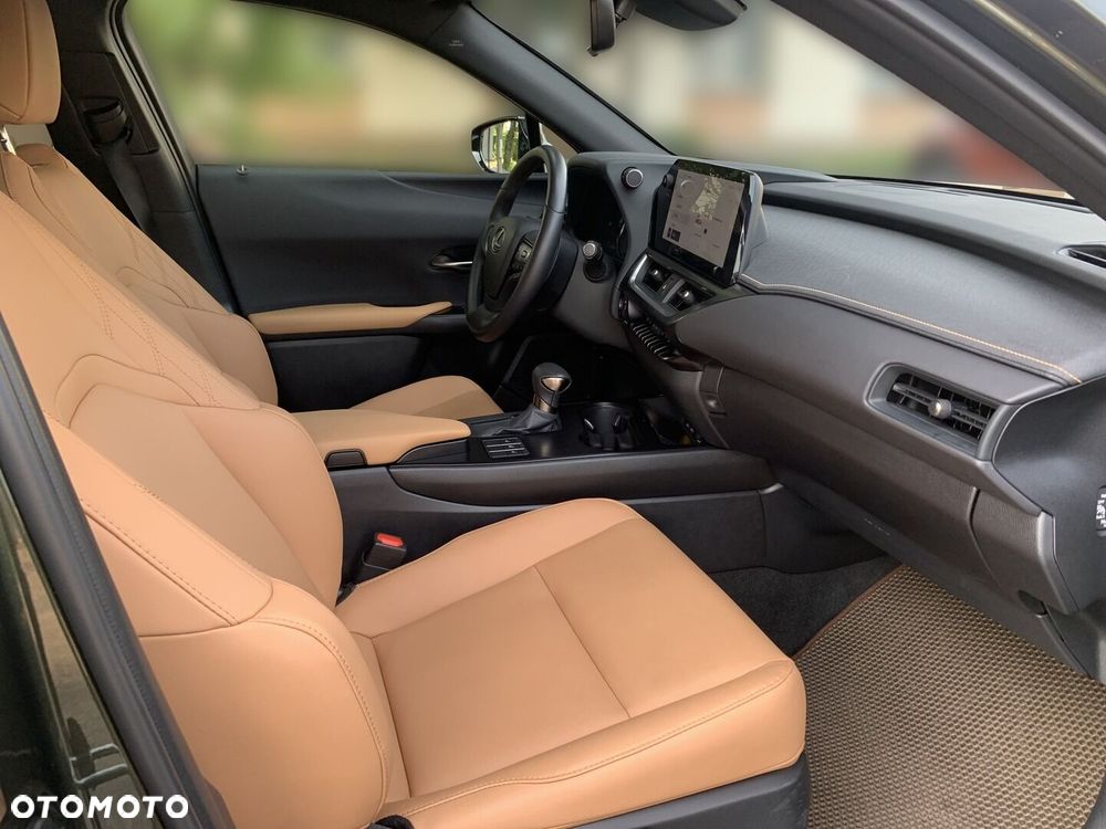 Lexus UX 250h GPF F Sport Design 2WD - 13