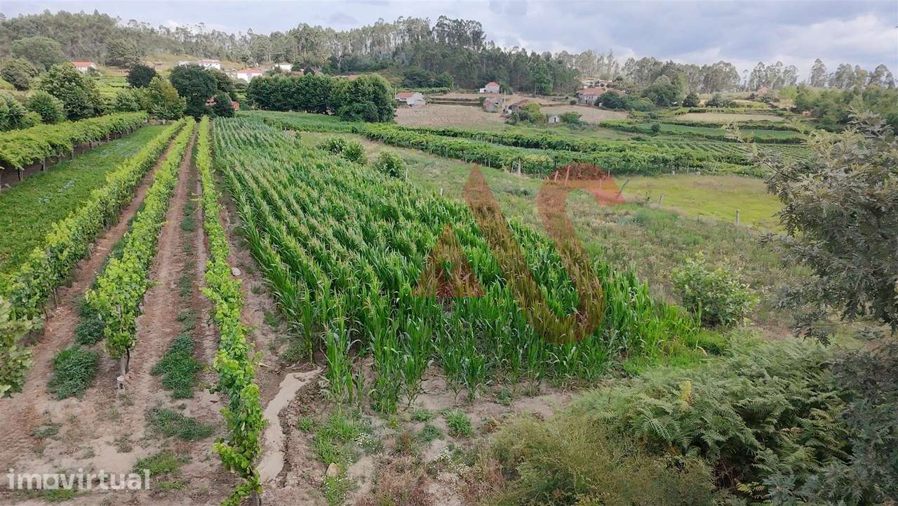 Terreno Agrícola com 2230m2 em Silvares, Lousada - Grande imagem: 4/4
