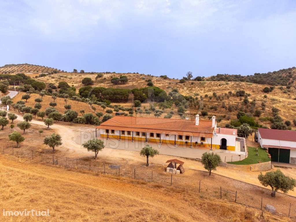 Quinta em Portel - 4,3 Ha de Tradição e Conforto - Grande imagem: 3/44