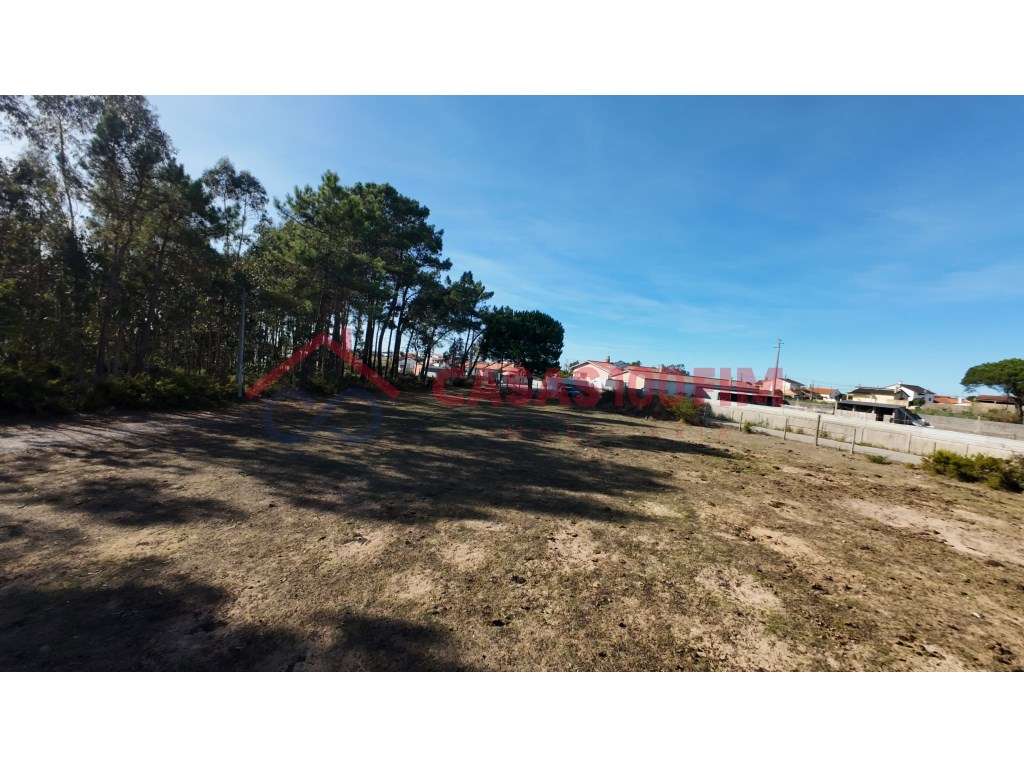 Terreno 161.000 m² com 2 ha urbanizáveis - Souto da Carpalhosa - Grande imagem: 4/6