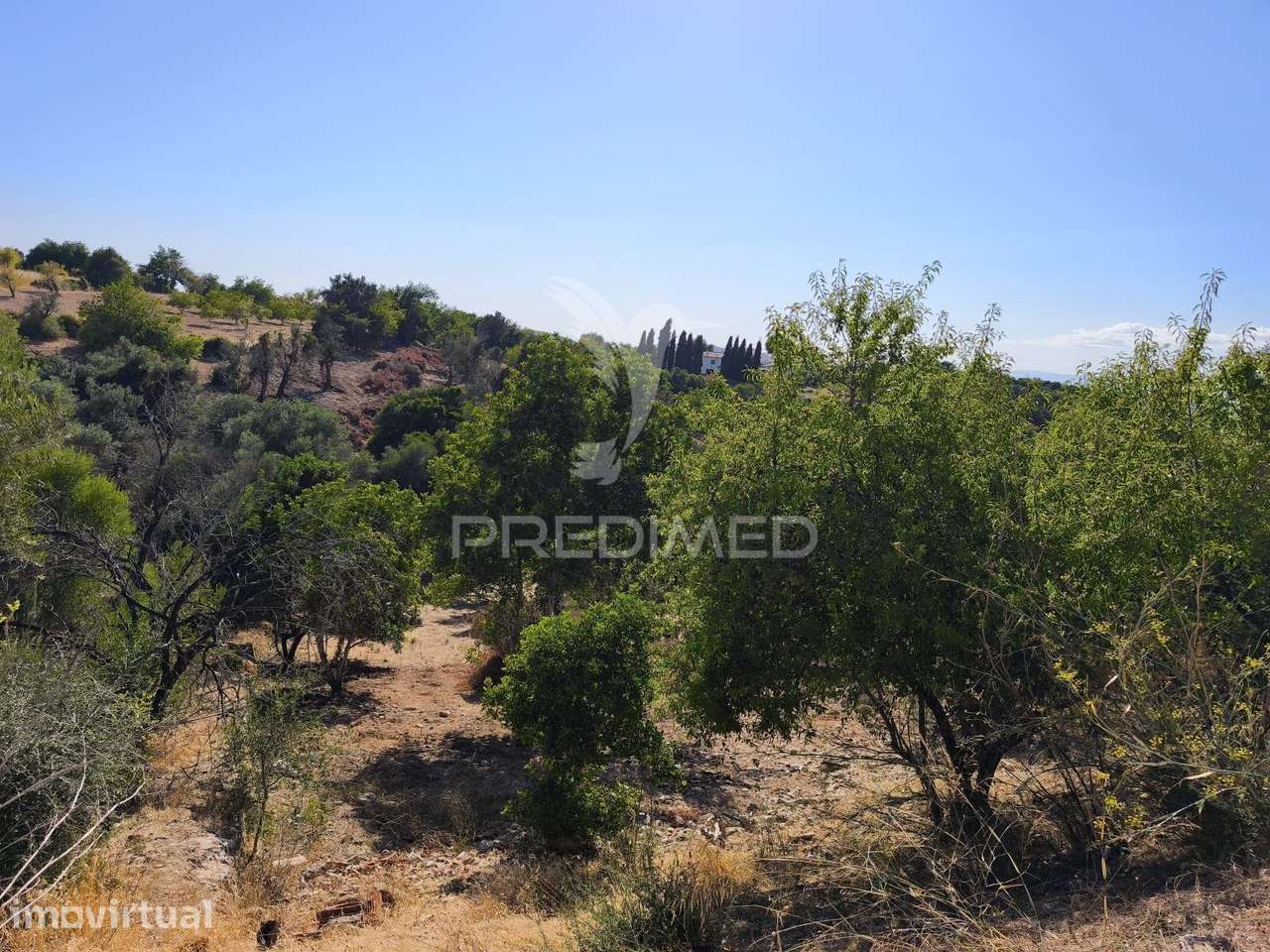 Albufeira-Paderne - AlmeijoafrasTerreno Rustico 8160m2 - Grande imagem: 4/14