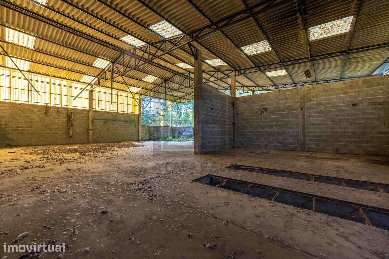 Armazém com 2.057 m2 em Fiães, Santa Maria da Feira - Exclusivo - Grande imagem: 3/20