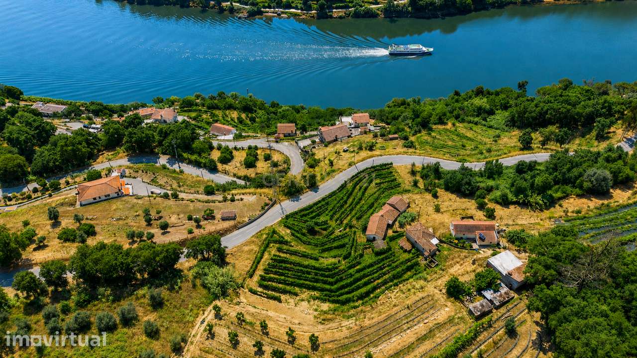 Quintinha com 2 casas em pedra para recuperar + 2 terrenos com vinhas- - Grande imagem: 4/39
