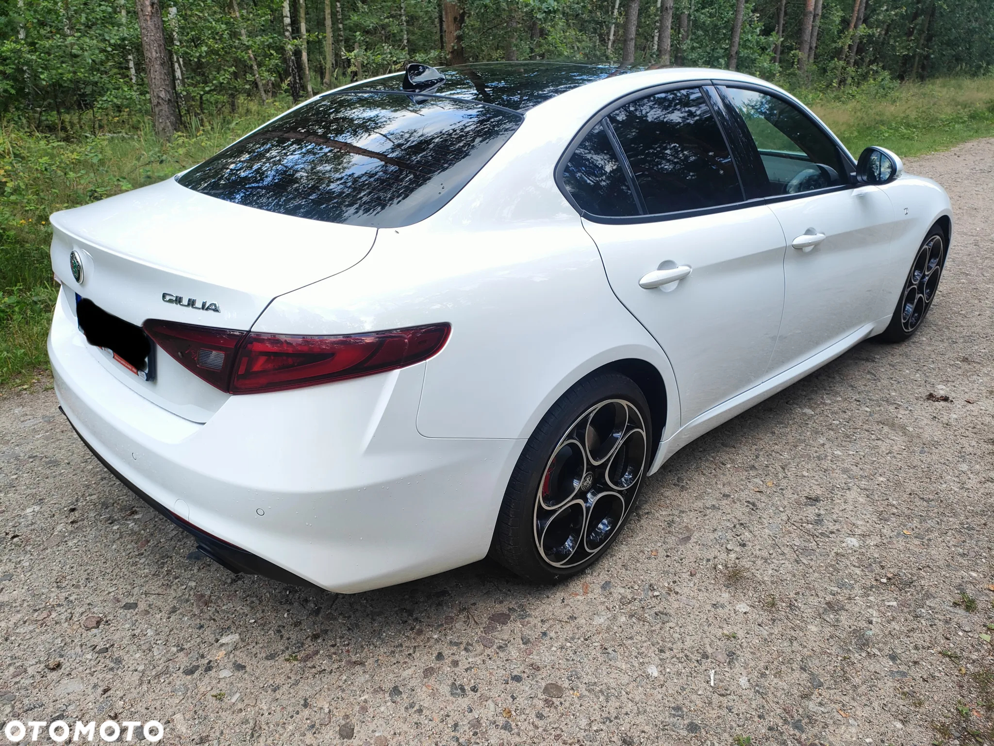 Alfa Romeo Giulia 2.0 Turbo TI Q4 - 3